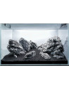 Tropica Lot Expert - L126 Grober Rettenstein (50L)