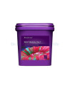 Sea Salt Box 25kg - 5 x 5 kg