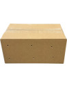 Criquets Migrateurs L 100pcs (SUBADULTES)