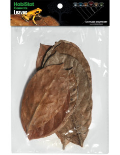 Feuilles de jacquier HabiStat pour terrarium - Aquabota