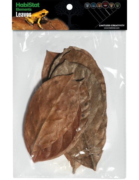 JACKFRUIT LEAVE 10 P