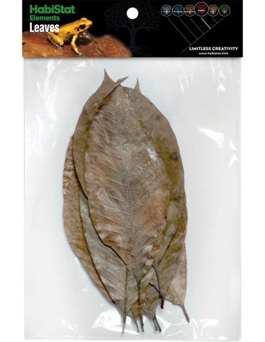 RUBBER LEAVE 10 P