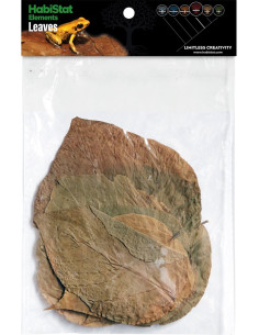 Feuilles de dadap HabiStat pour terrarium - Aquabota