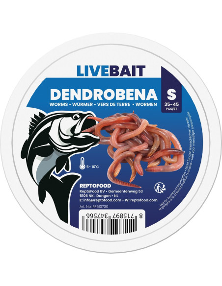 Vers de terre Dendrobena – Taille S (35–45 pièces)