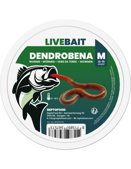 Vers de terre Dendrobena – Taille M 12-15X
