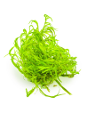 Najas guadalupensis "Guppy Grass"
