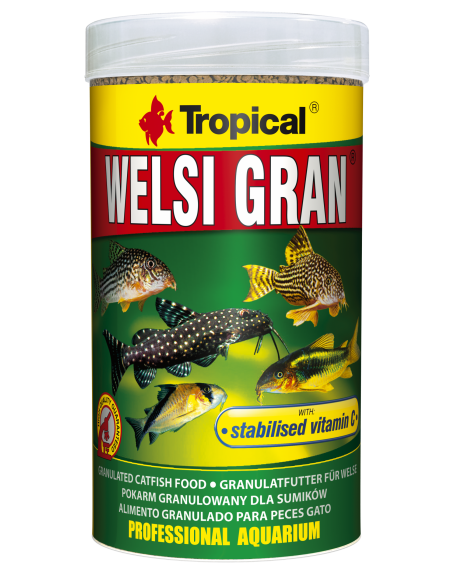 Welsi Gran TROPICAL - 1