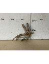 Slim Wood S 21-30 Cm 4016