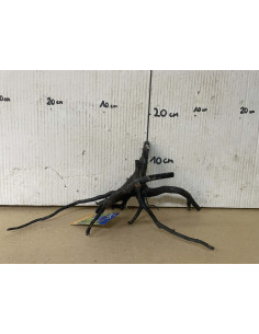 Dark Spider Wood M 31-40 Cm 4001