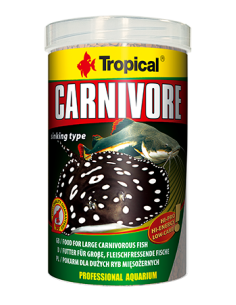 Carnivore TROPICAL - 1