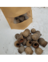 Cosses d'eucalyptus +/-50gr sous kraft