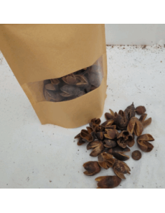 Cosses de bakuli +/-50gr sous kraft
