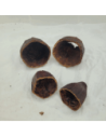 Demi cabosses de cacao