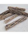 Ecorce de Chola 14-15cm diam 3cm
