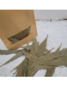 Feuilles d'eucalyptus +/-10gr sous kraft
