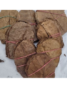 Feuilles de Catappa S 8/10cm +-20pcs