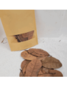 Feuilles de cajou +/-10gr sous kraft (Anacardium occidentale)