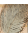 Feuilles de palmier Areca 60cm (1 feuille)