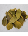 Feuilles de quina (Strychnos pseudoquina) 10gr sous kraft