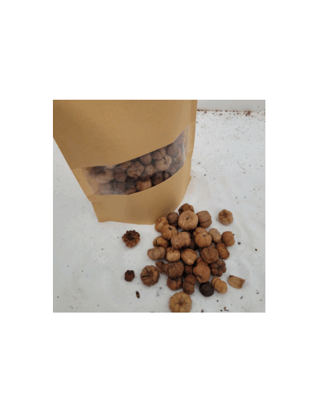 Gousses de puthka +/-25gr sous kraft