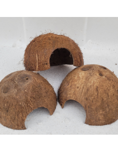 Noix de coco 1/2 sans écorce avec trou au dessus