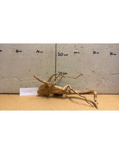 Racine Spiderwood S 21-30 CM  4112