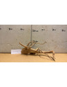 Racine Spiderwood S 21-30 CM  4112