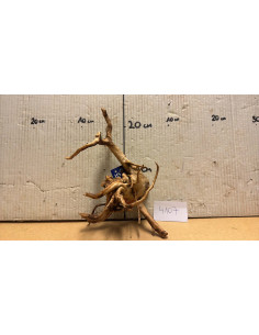 Racine Spiderwood S 21-30 CM  4107