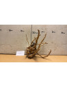 Racine Spiderwood S 21-30 CM  4104
