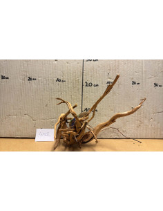Racine Spiderwood S 21-30 CM  4102