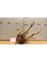 Racine Spiderwood S 21-30 CM  4102