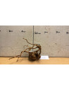 Racine Spiderwood S 21-30 CM  4098