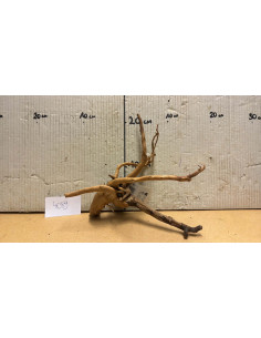 Racine Spiderwood S 21-30 CM  4089