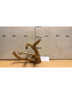 Racine Spiderwood S 21-30 CM  4077