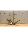 Racine Spiderwood S 21-30 CM  4076