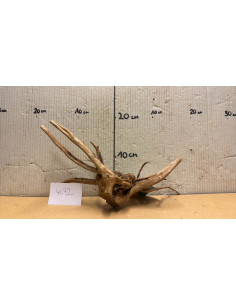 Racine Spiderwood S 21-30 CM  4072