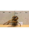Racine Spiderwood S 21-30 CM  4064