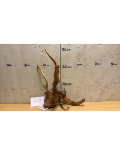 Racine Spiderwood S 21-30 CM  4062