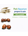 Pack Aquarium propre & sain (8 Amano + 5 Clithon cornu) – Anti-algues