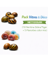 Pack Vitres & Déco (10 Neritina Zebra/Tiger + 5 Planorbes color mix) – Nettoyeurs