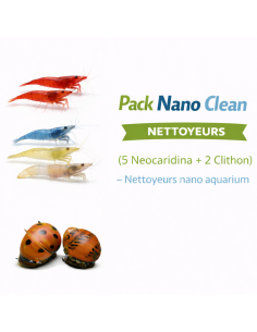 Pack Nano Clean (5 Neocaridina + 2 Clithon) – Nettoyeurs nano aquarium