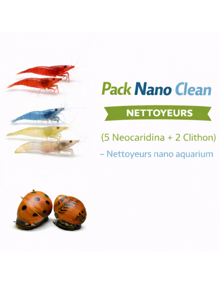 Pack Nano Clean (5 Neocaridina + 2 Clithon) – Nettoyeurs nano aquarium