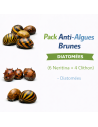 Pack Anti-Algues Brunes (6 Neritina + 4 Clithon) – Diatomées