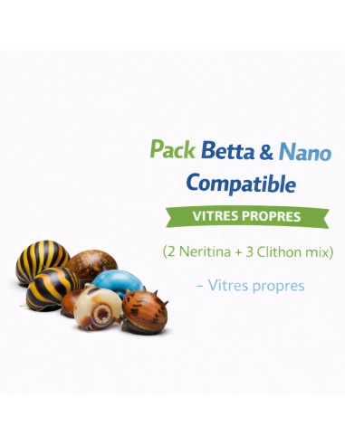 Pack Betta & Nano Compatible (2 Neritina + 3 Clithon) – Vitres propres