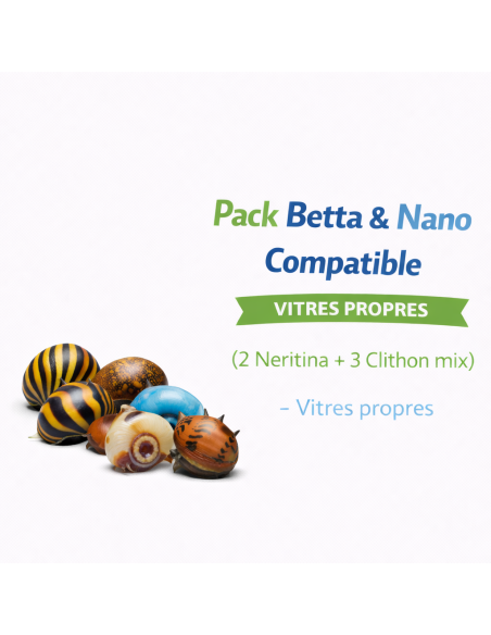 Pack Betta & Nano Compatible (2 Neritina + 3 Clithon) – Vitres propres