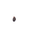 Barclaya Longifolia 6,50 €