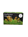 Deco Set Dragon Stone for aquarium 80l 39,27 € AQUA DECO
