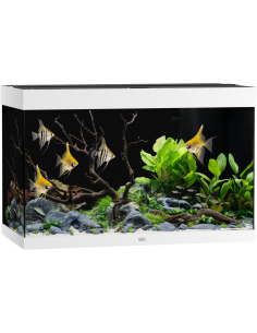 JUWEL Aquarium Rio 240 LED (2x29w) - Aquabota.com