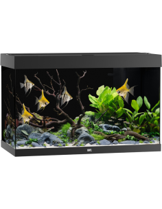 JUWEL Aquarium Rio 240 LED (2x29w) - Aquabota.com
