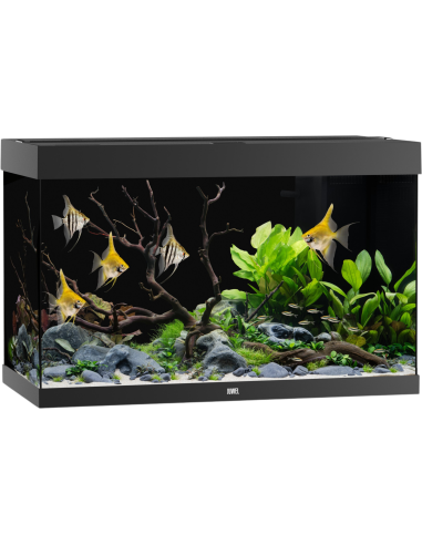 JUWEL Aquarium Rio 240 LED (2x29w) - Aquabota.com